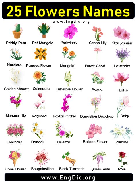 List Of Rare Flower Names: 25 Flowers You May .